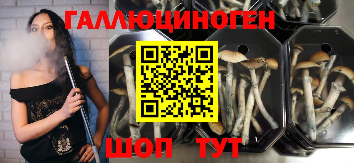 Галлюциногенные грибы мухоморы  Вход с VPN  Калуга 